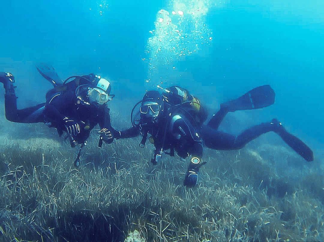 Rivemar Azohia Diving Center景点图片