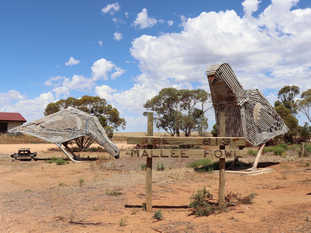 Patchewollock Art Silo-Patchewollock必去景点