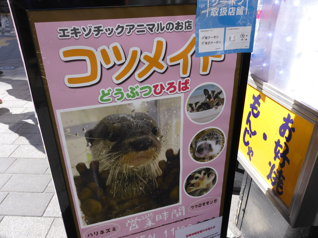 Sunshine 60通-丰岛区必去景点