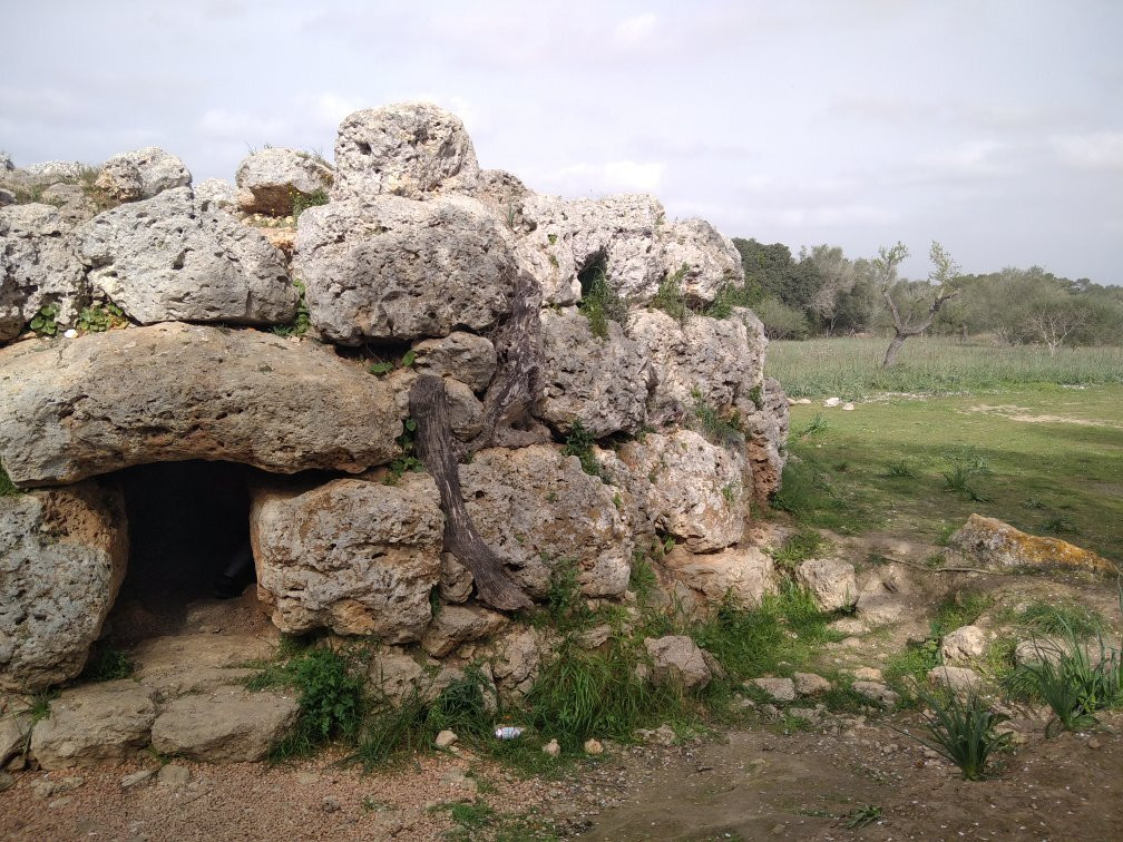Talaiot De "son Fret" Sencelles Mallorca景点图片