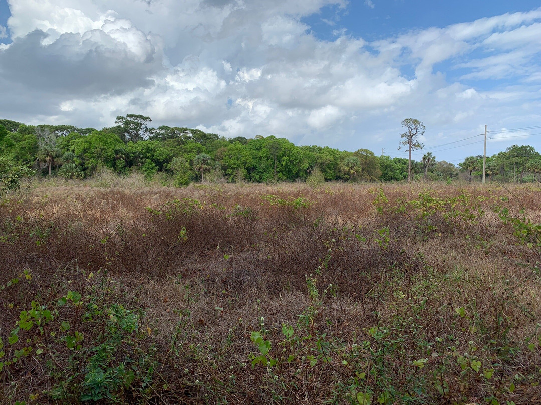 Fern Forest Nature Center景点图片