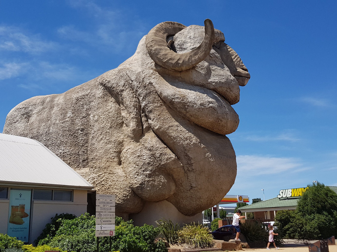 The Big Merino景点图片