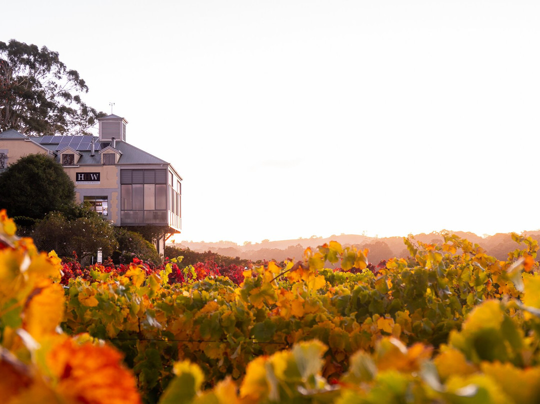 Hahndorf Hill Winery景点图片