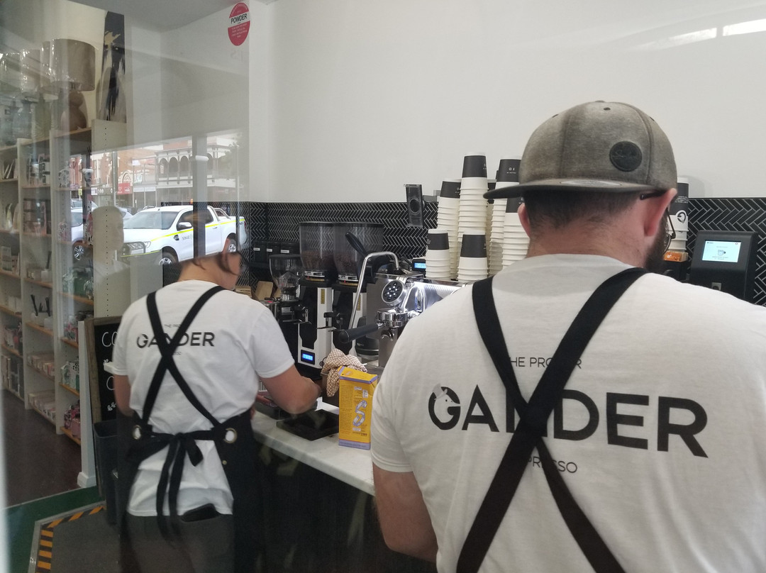 The Proper Gander Espresso