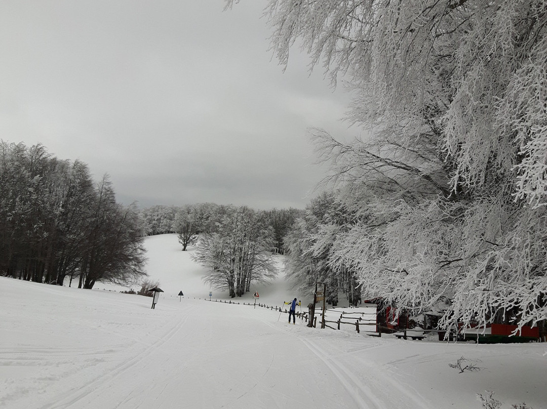 Piste da Fondo Cinque Confini景点图片