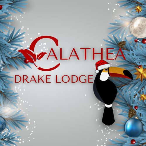 Calathea Drake Lodge