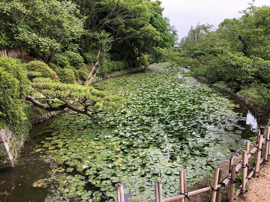 Dogo Park (Ruins of Yuzuki Castle)景点图片