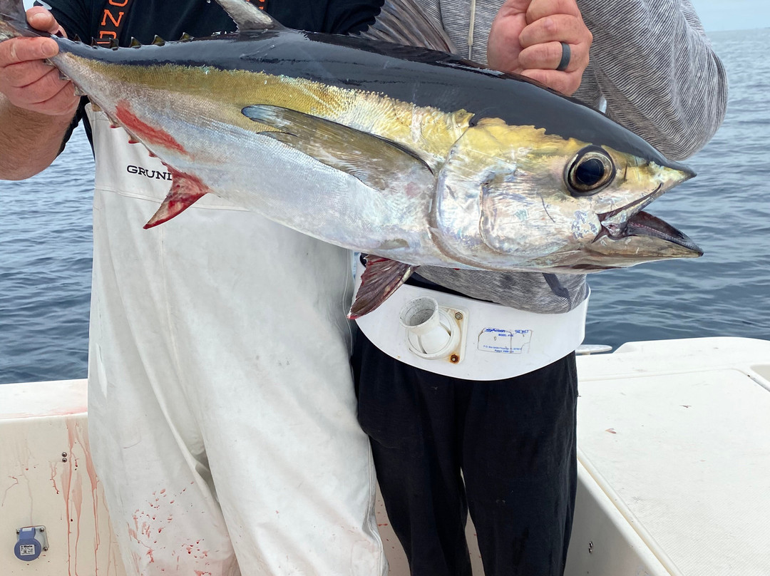 Go Time Sportfishing Charters-伊斯拉摩拉达必去景点