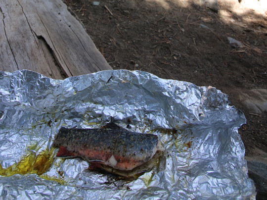 HarvestWild-雷丁必去景点