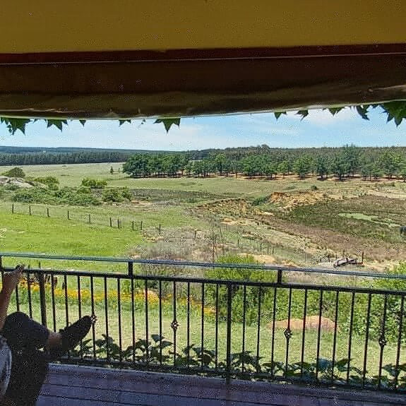 Springgrove Estate主图