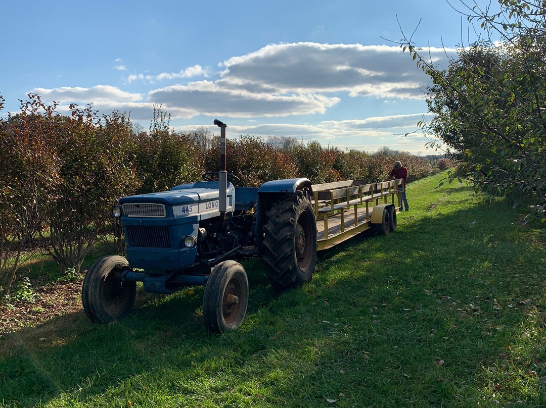 Solebury Orchards景点图片