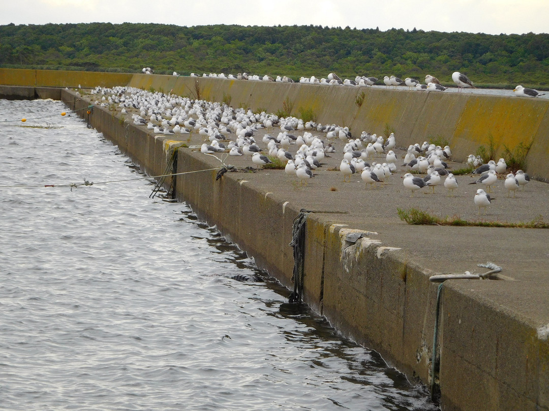 Lake Furen-别海町必去景点