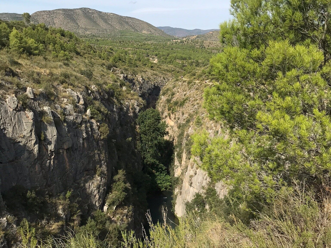 Puentes Colgantes景点图片
