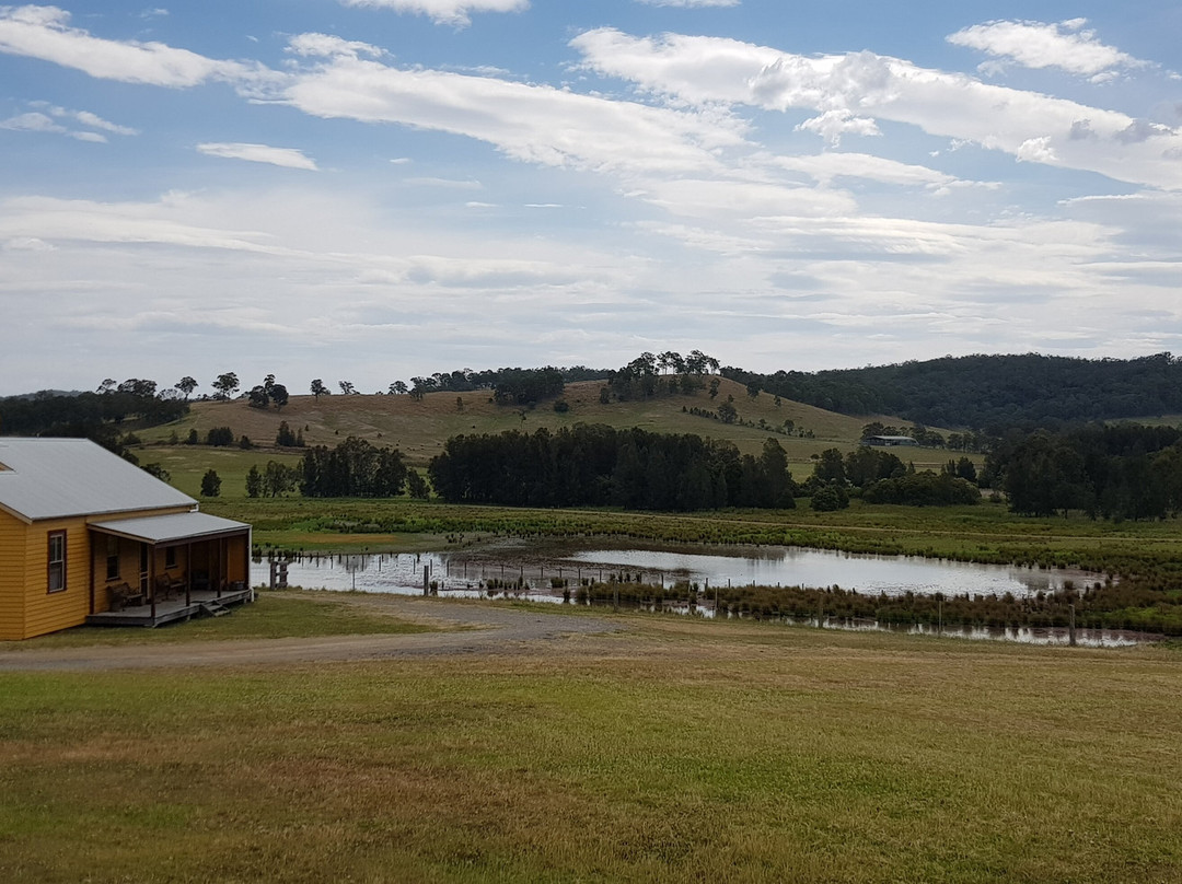 The Barracks Tocal主图