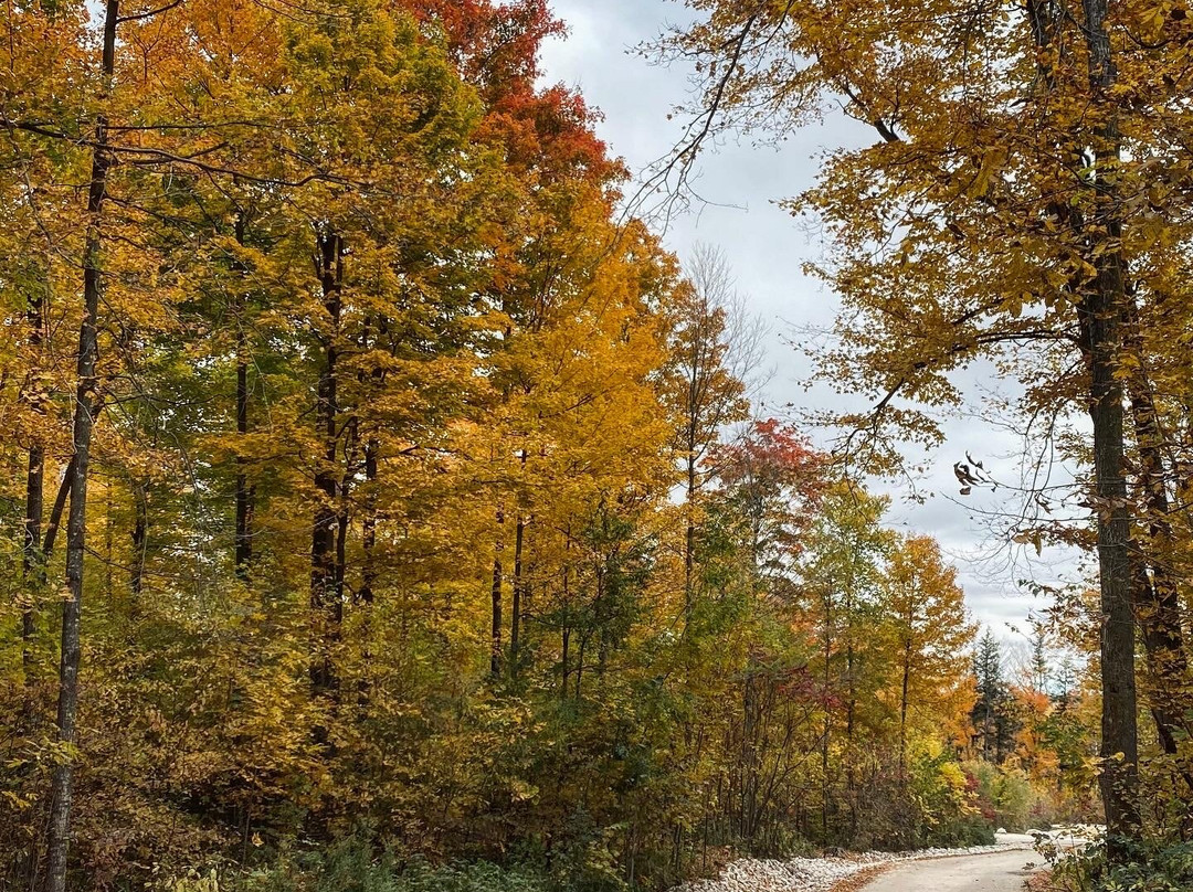 Toll House Bed And Breakfast主图