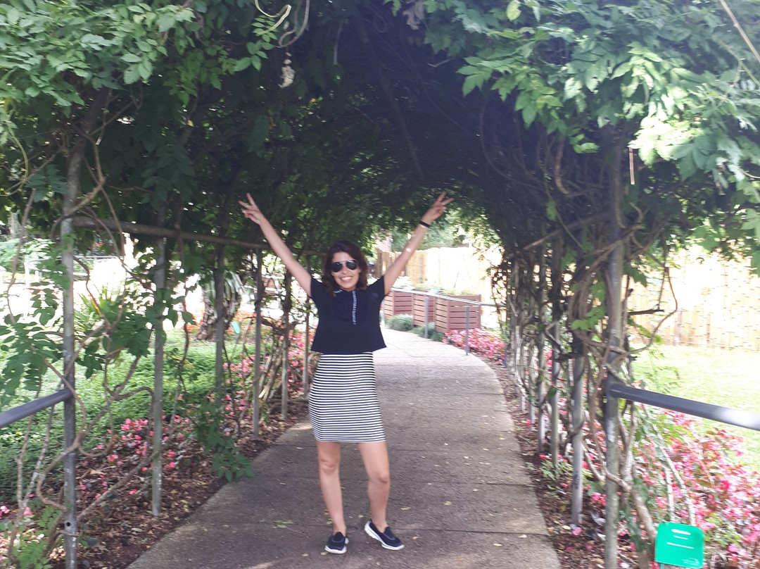 Jardim das Sensações-库里提巴必去景点