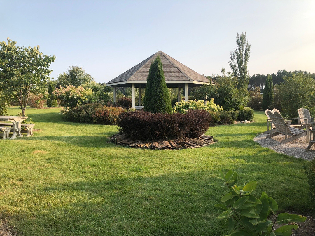 Light of Day Organic Teas-特拉弗斯城必去景点