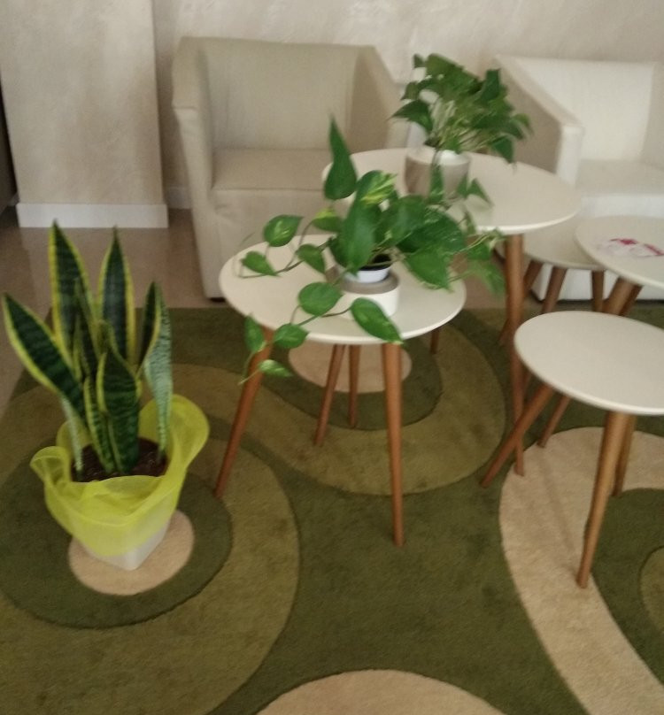 Luxury B&b Coccolhouse主图