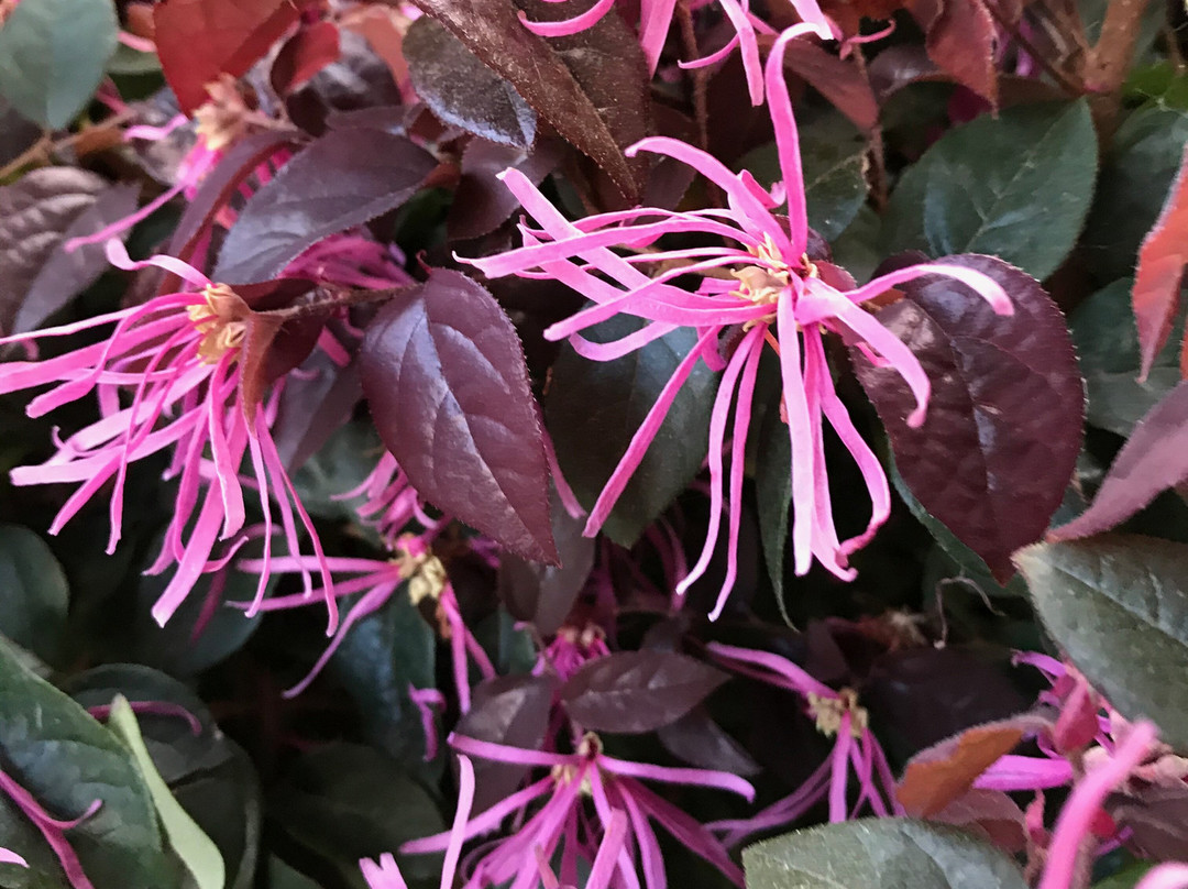 光明大道汽车旅馆主图