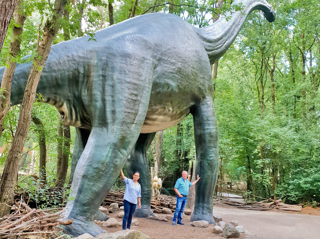 DierenPark Amersfoort-阿默斯福特必去景点