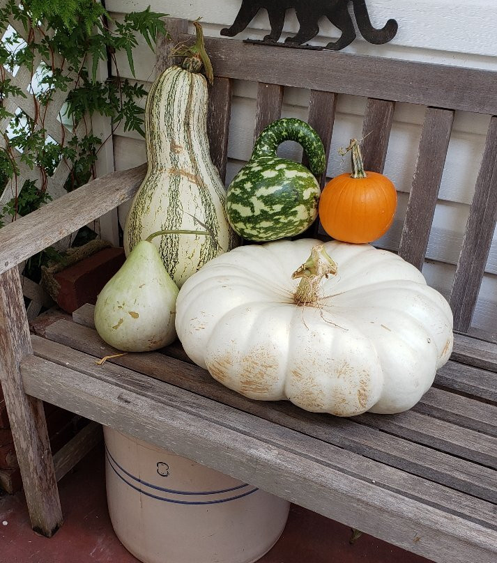 Graham's Edgewood Market-Edgewood必去景点