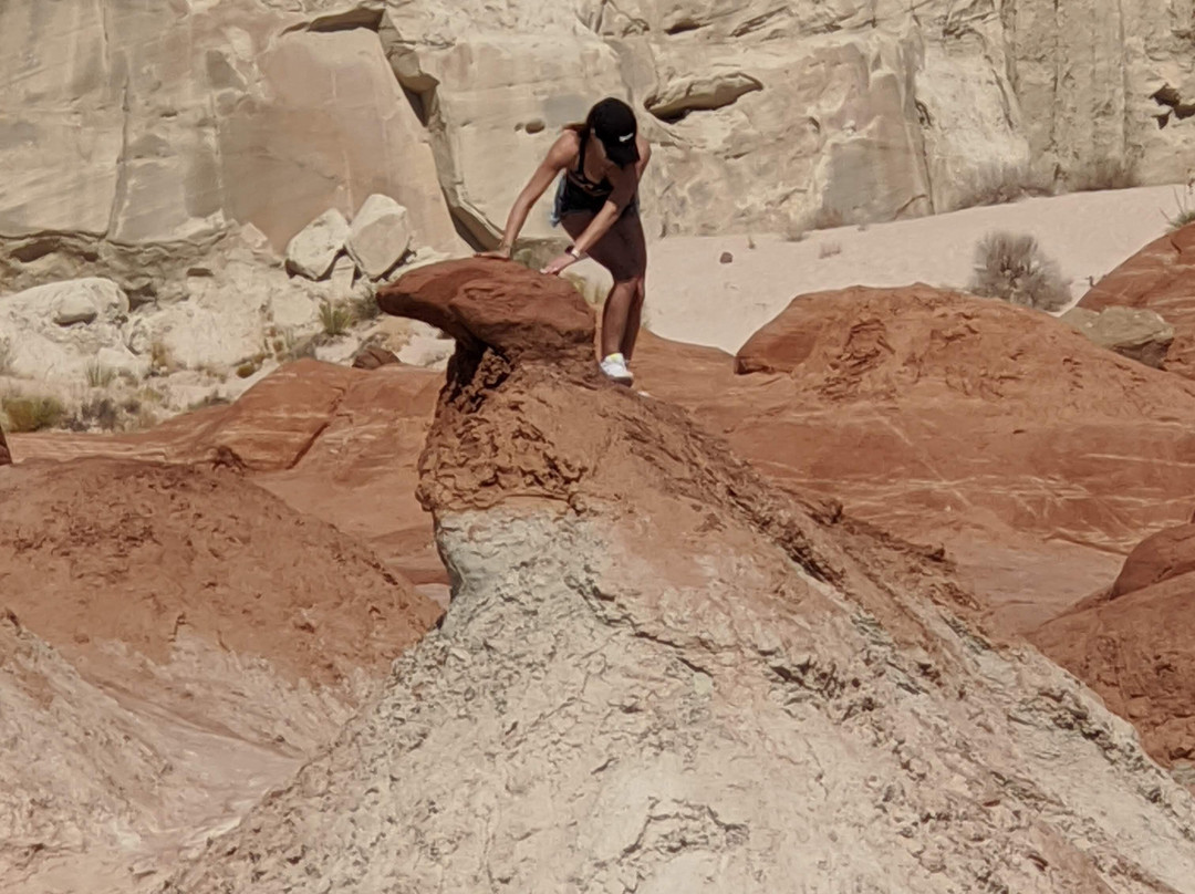 Paria Rimrocks Toadstool Hoodoos-比格沃特必去景点