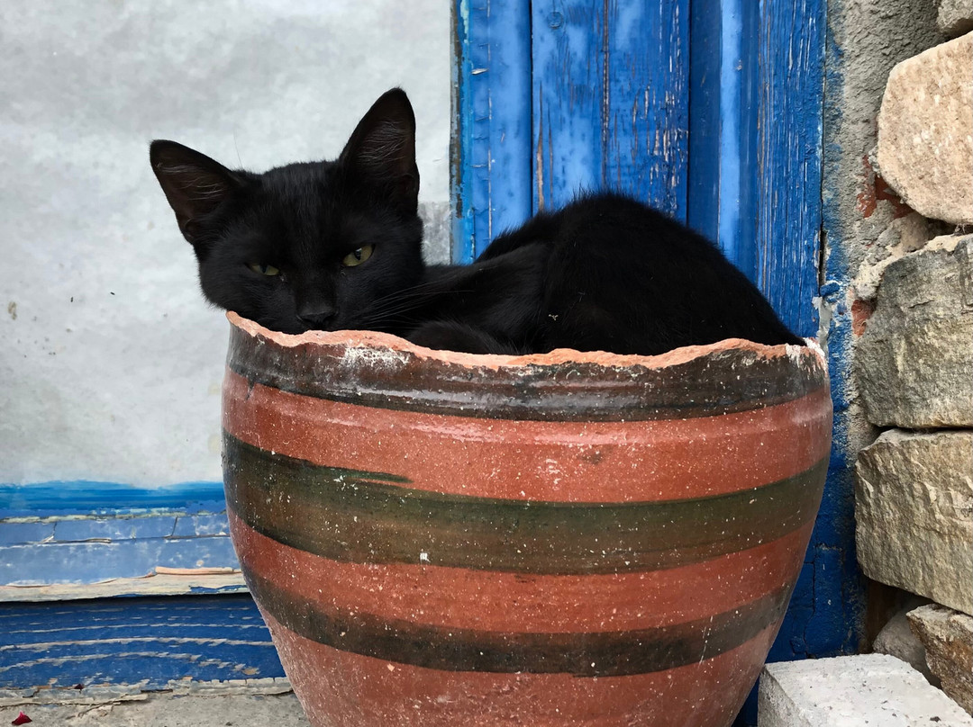 Costis Pottery-Thassos Town (Limenas)必去景点