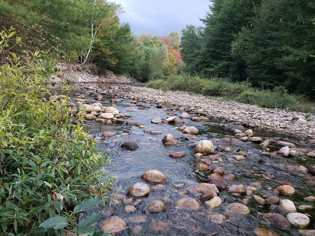 斯托尼布鲁克汽车旅馆&小屋酒店主图