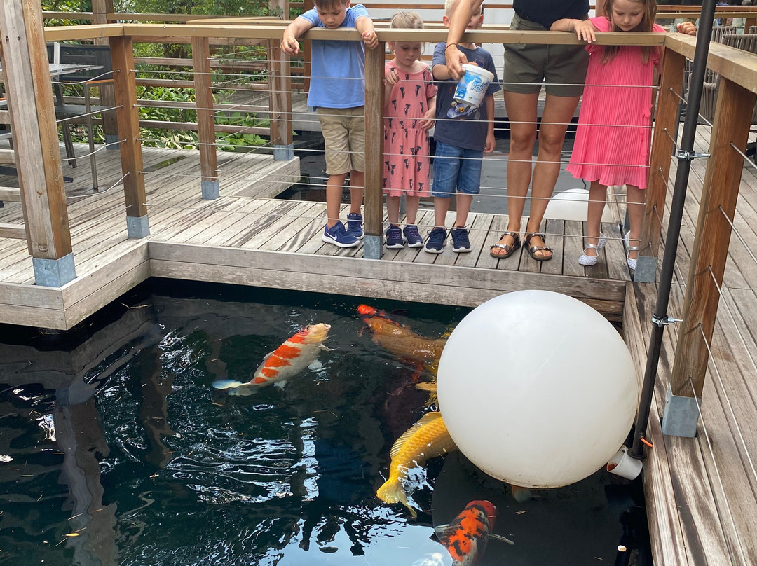 Feldhof DolceVita Resort主图