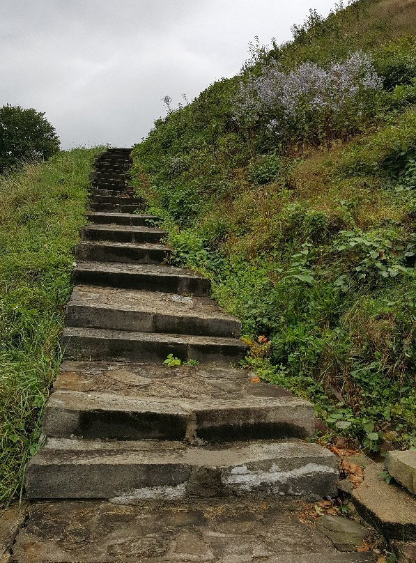 Grave Creek Mound Archaeological Complex-Moundsville必去景点