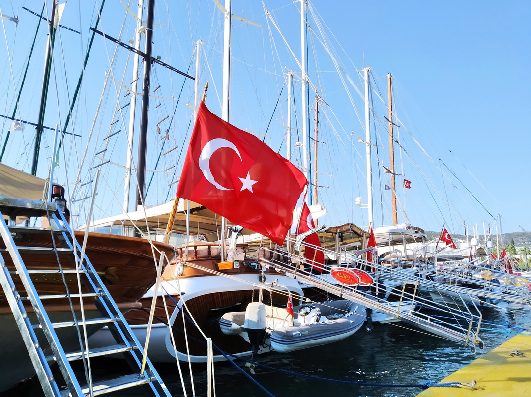 Milta Bodrum Marina景点图片