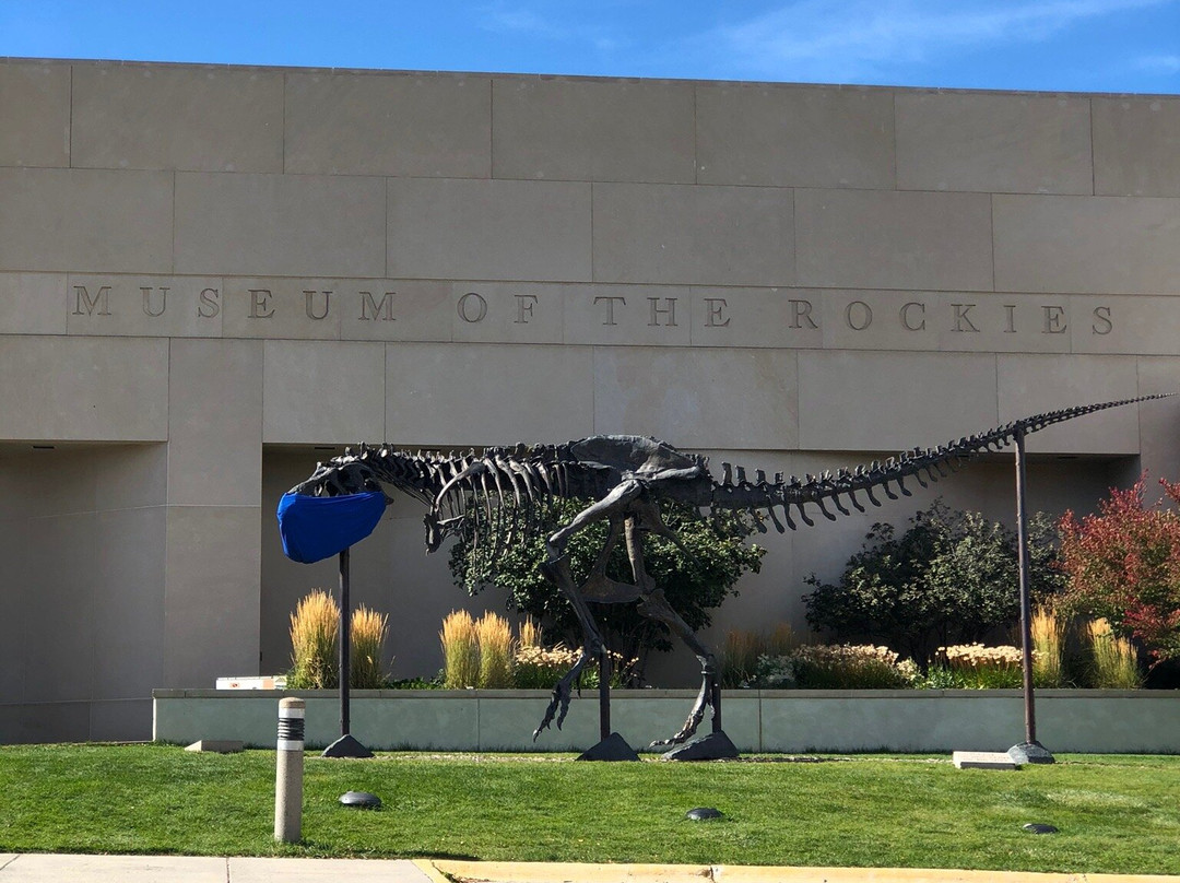 Museum of the Rockies景点图片