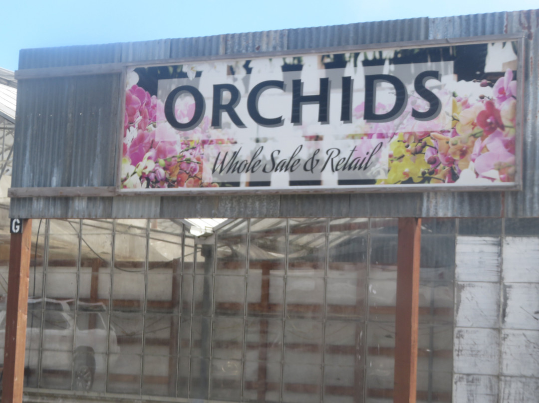 Pastorino Farms