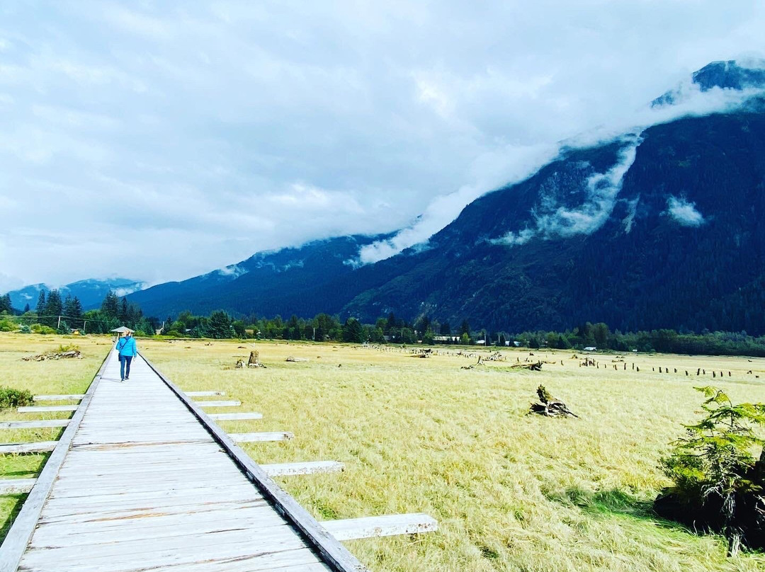 Estuary Boardwalk-Stewart必去景点