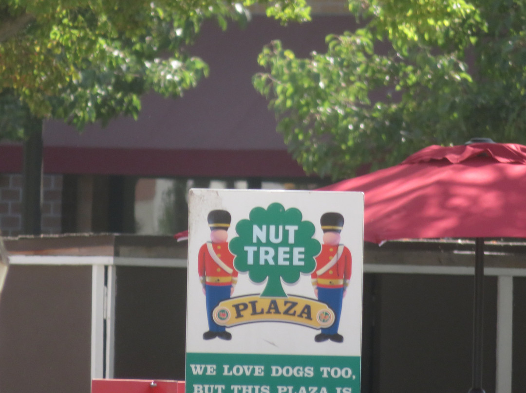 Nut Tree Plaza-瓦卡维尔必去景点