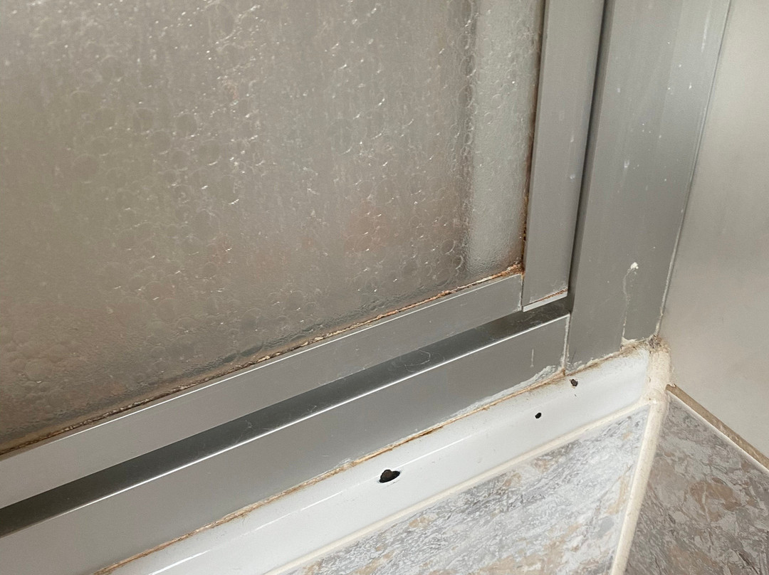 Zur Grunen Kutte主图