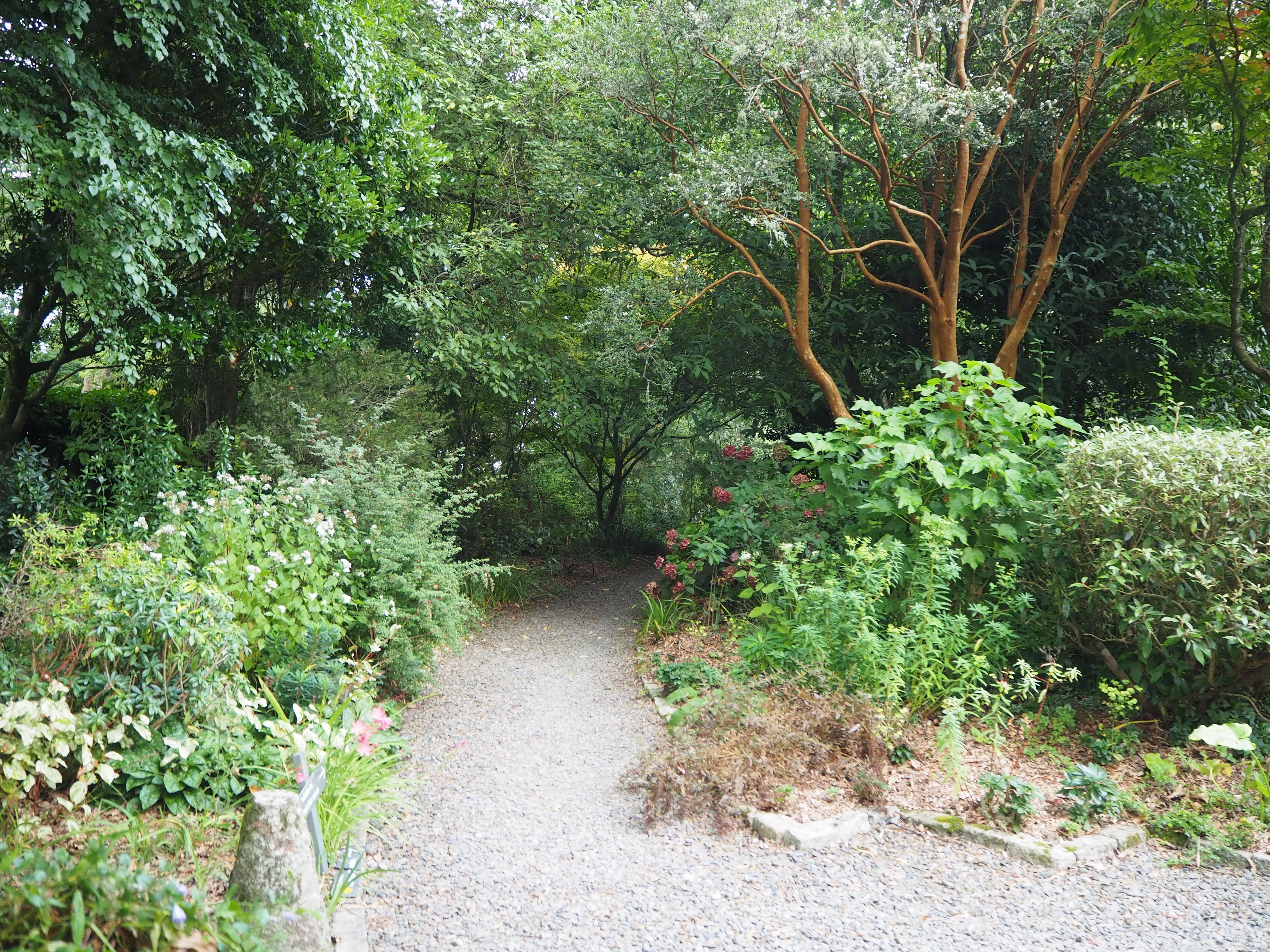 Pinetum Gardens-酒店景观