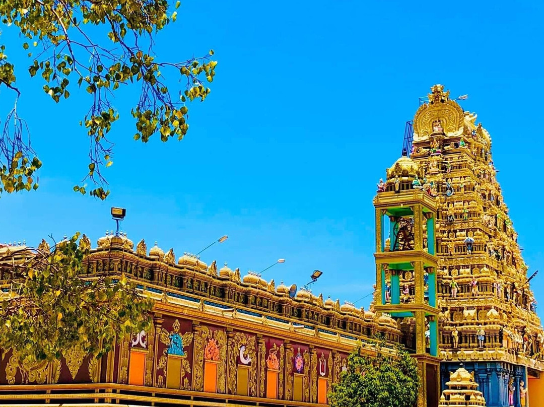 Vallipuram Alvar Vishnu Kovil景点图片