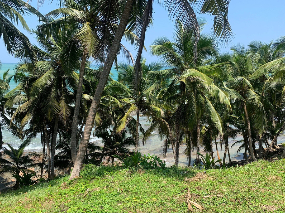 Axim Beach Eco Resort主图