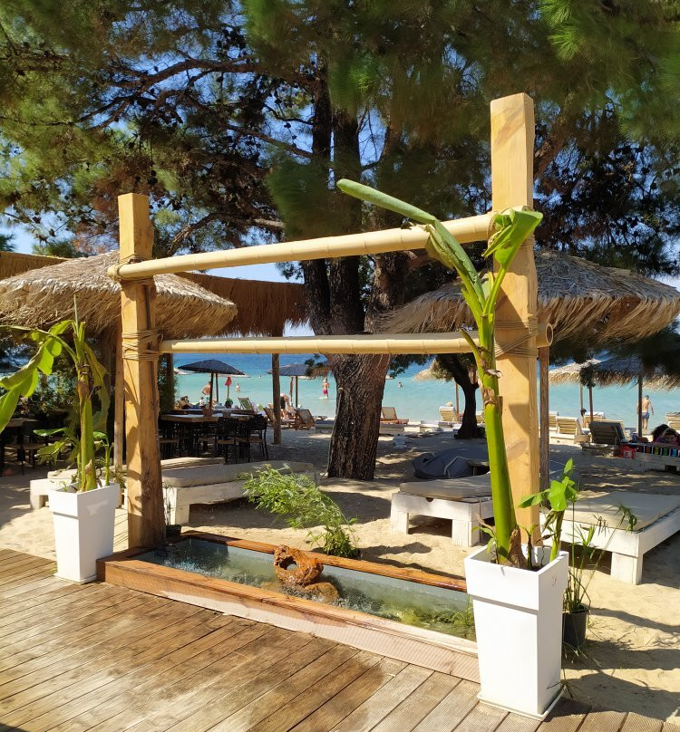 Pachis Beach Bar-Skala Rachoniou必去景点