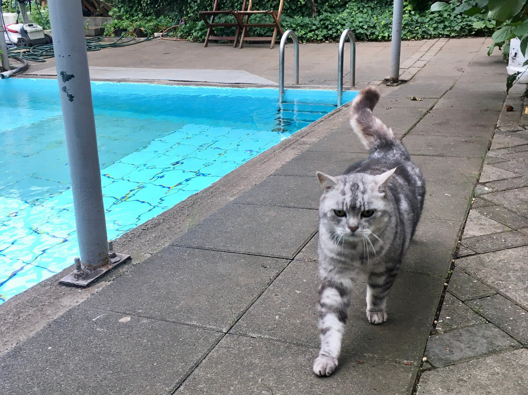 Country Hotel Heydalur主图