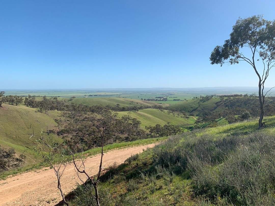 Spring Gully Conservation Park-Sevenhill必去景点