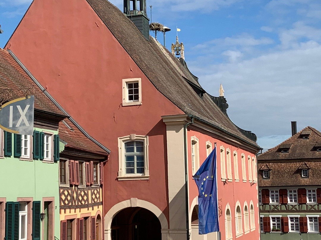 Rathaus Ettenheim景点图片