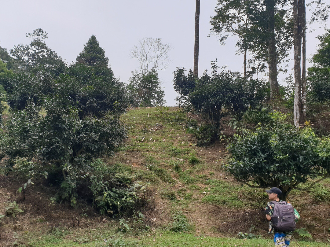 Viet Quang旅游攻略图片