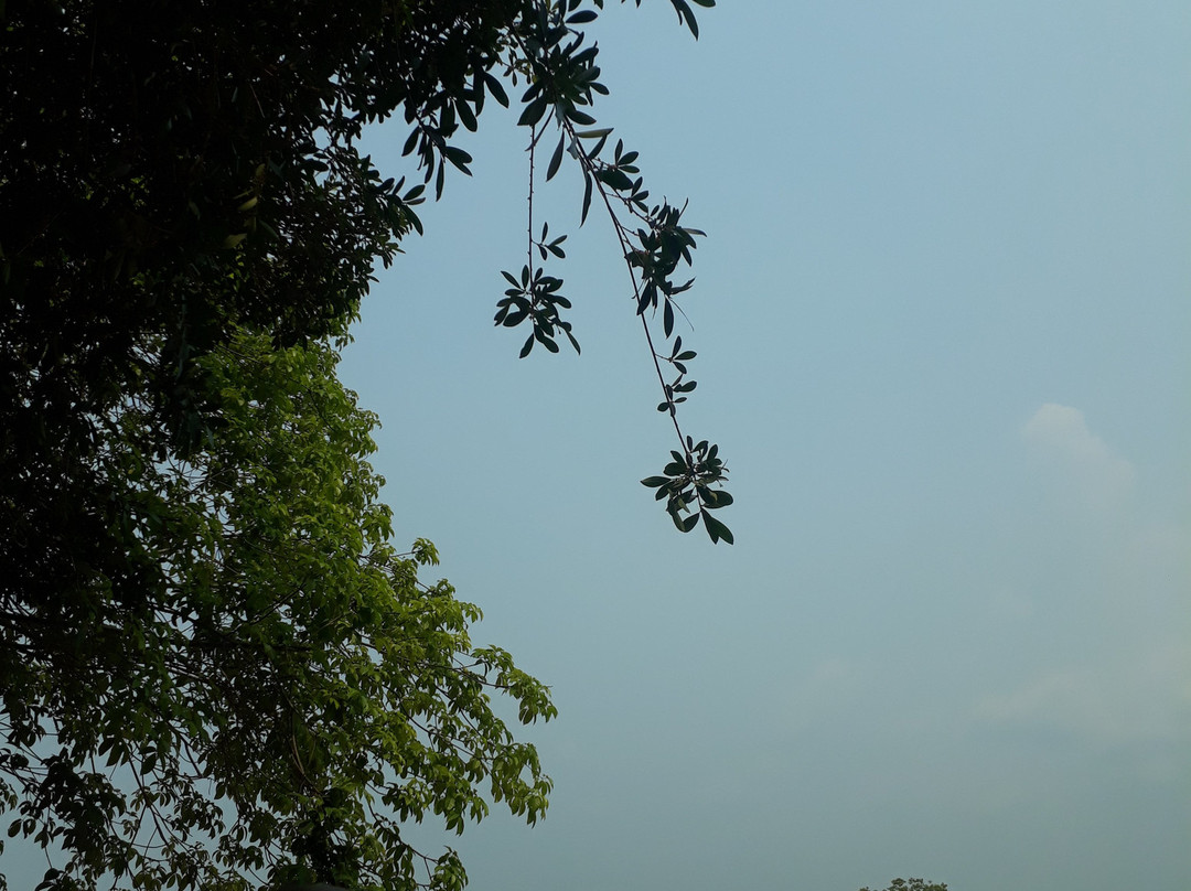 Praia do Tupe-玛瑙斯必去景点