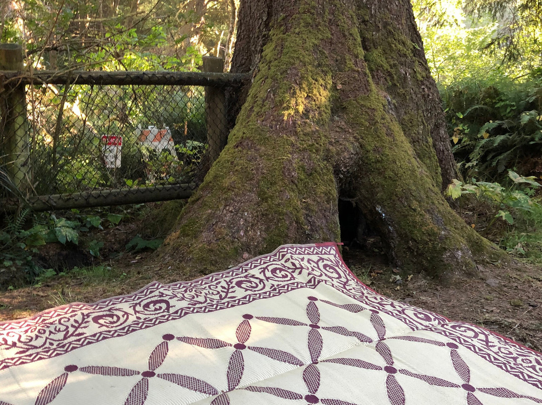 Beverly Beach State Park-Otter Rock必去景点