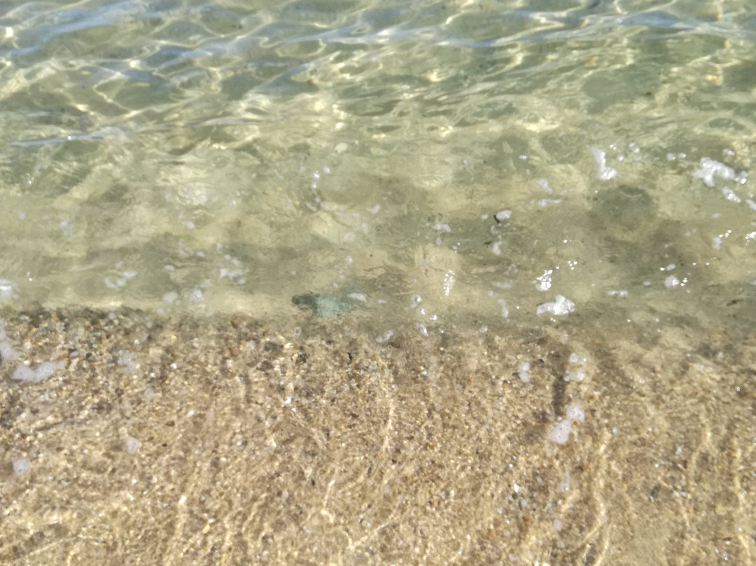 Bagni medusa景点图片