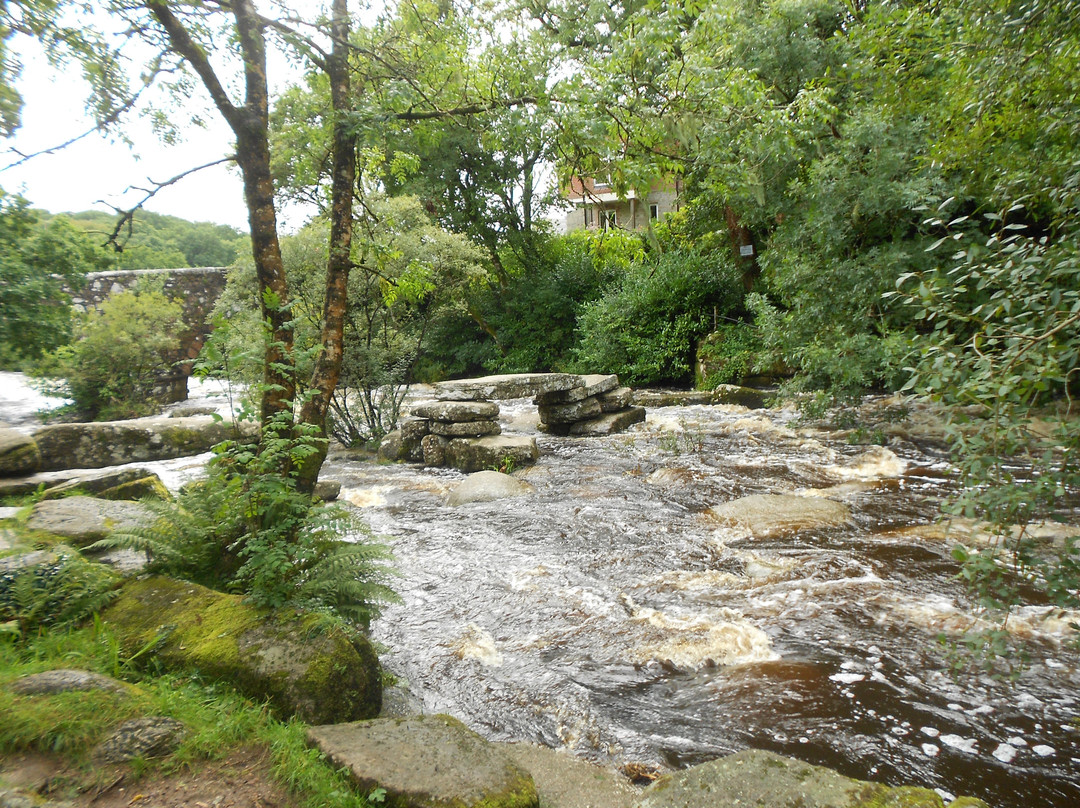 Dartmeet River Junction景点图片