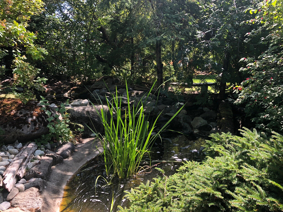 Kohan Reflection Garden景点图片