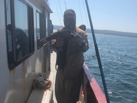 Patriot Party Boats-法尔茅斯必去景点